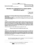 avances-en-la-busqueda-de-la-vacuna-contra