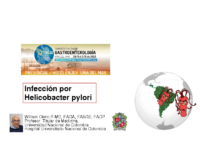 Hpylori Viña VIÑA Chile 2022 Enjoy