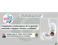 Hpylori Endoscopia Emura Panamericabo Chile 23